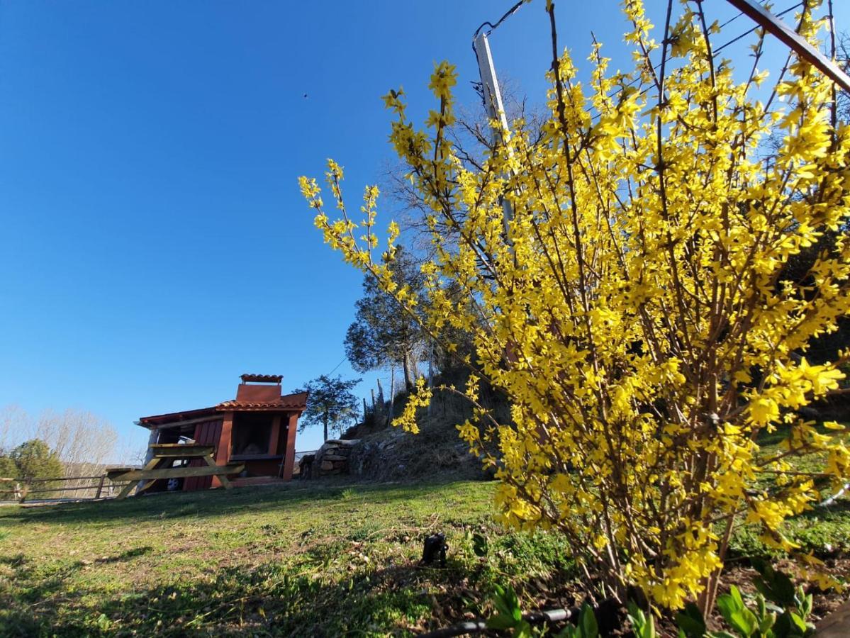 Casa Rural Manitoba Luxe Buenache de la Sierra エクステリア 写真